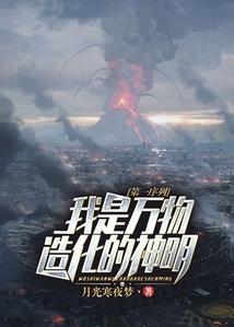 开片的星月菩提多少钱