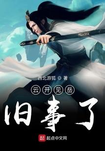 五台山安慧居士