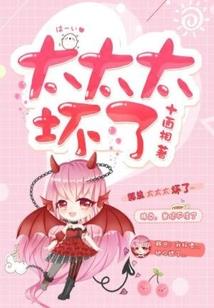 新阳居士