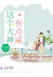 南海禅寺山门甬道图片