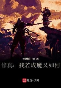 寺庙收留宠物