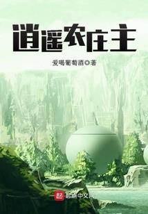参透佛法的猫咪