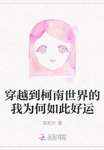 藏地自由行宣传手册