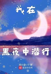 杨排风佛法视频