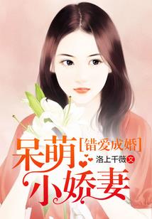 藏地历代上师故事