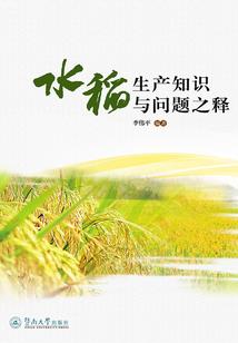 大悲咒的译者