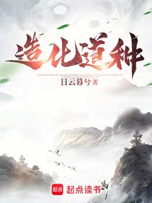 藏地红雪茶