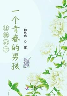 净鹏居士老板视频
