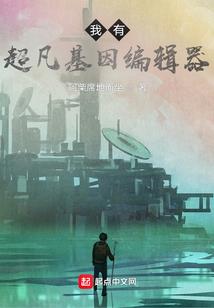 雷胜法师的四家摩尼图片