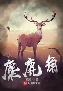 寻侠菩提树