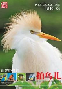 佛家入门功法大全视频讲解