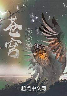 南海禅寺图集介绍图片