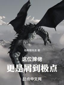 宝宝出家的视频
