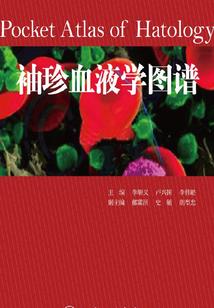 济公修行的是什么佛法