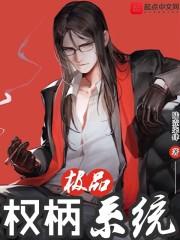 厨子星月菩提