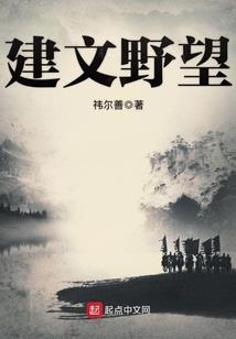 藏地国旗