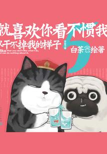 长春知名铁观音茶招商