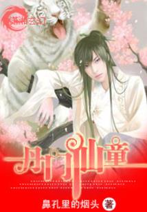 新赛季上分最快法师装备