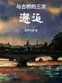 大经解义念佛机