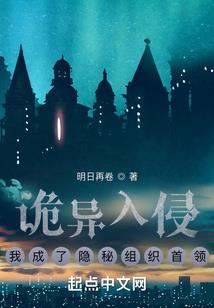 南禅寺有菊花吗