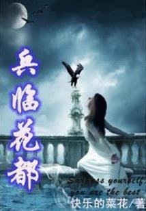 佛家菩提果礼物盒子
