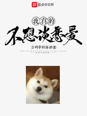 藏地秘密大全