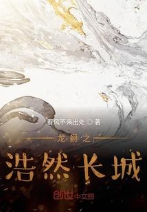 菩提小花盆