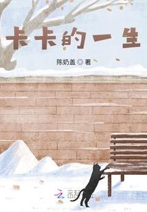 菩提达摩讲佛经