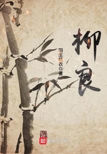 悲智合一金刚经讲解视频