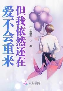 佛山因果玩具