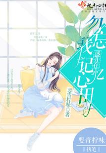 菩提缘贝贝