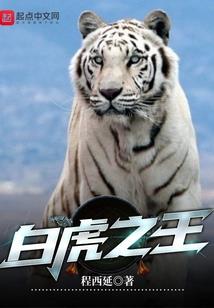 学佛人晚上可以上香
