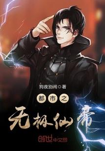 大师因果开示视频