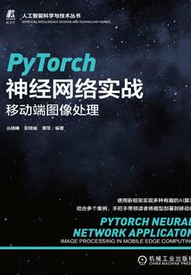 金刚菩提横竖裂纹图片