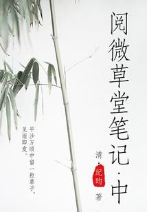 寻仙中法师怎么样加点