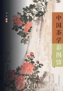 明教打坐图片真实高清