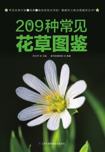 因果英语教学策略