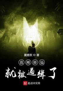 加钱居士电影几分钟