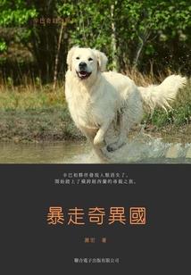 菩提山下一菩提