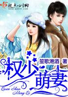 金钢菩提散装