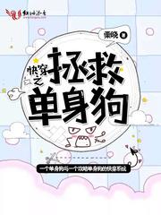 海洋堂佛像测评