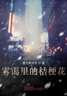 白色居士禅服视频