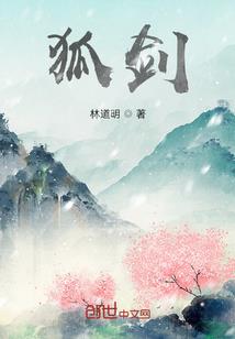 赵先生金刚经