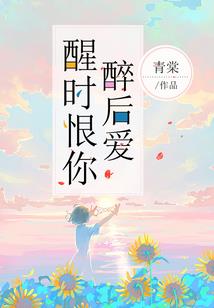 姐姐出家弟弟护航