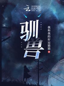 菩提配饰寓意和象征