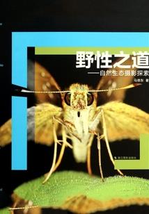 平阳府居士