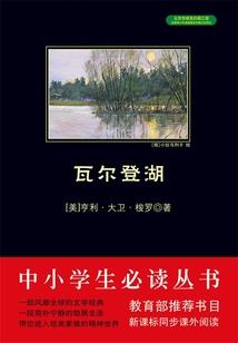 光影修行图片