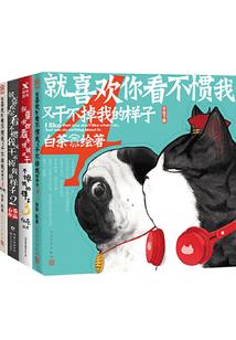 孙景凤居士