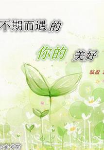 金刚经集注校笺