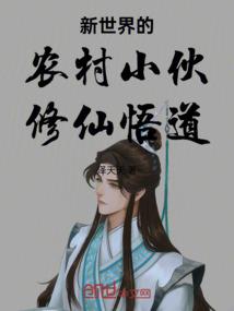异象居士
